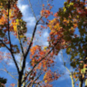 Meet your Posher, Zeynep